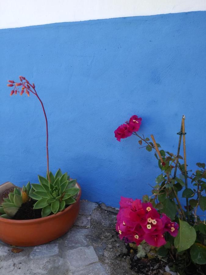 Casinha Do Sul Villa Faro Eksteriør billede